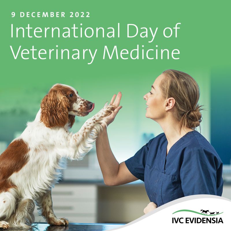 International Day of Veterinary Medicine