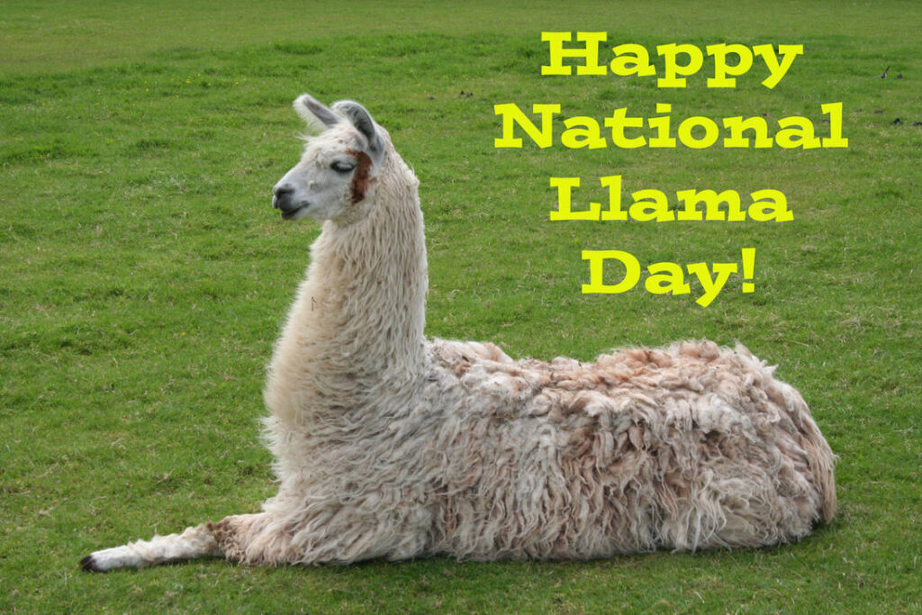 National Llama Day